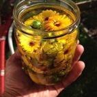 Oleum calendulae (Ringelblumen-Öl)