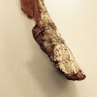 Cinchona officinalis (Chinarinde)