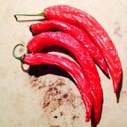 Capsicum annuum (Cayenne Chili)